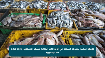 طريقة سهلة لمعرفة اسمك في الإفراجات المالية لشهر أغسطس 2025 وزارة المالية ليبيا